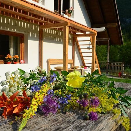 Bovec Home At Three Samoyeds Soča Extérieur photo