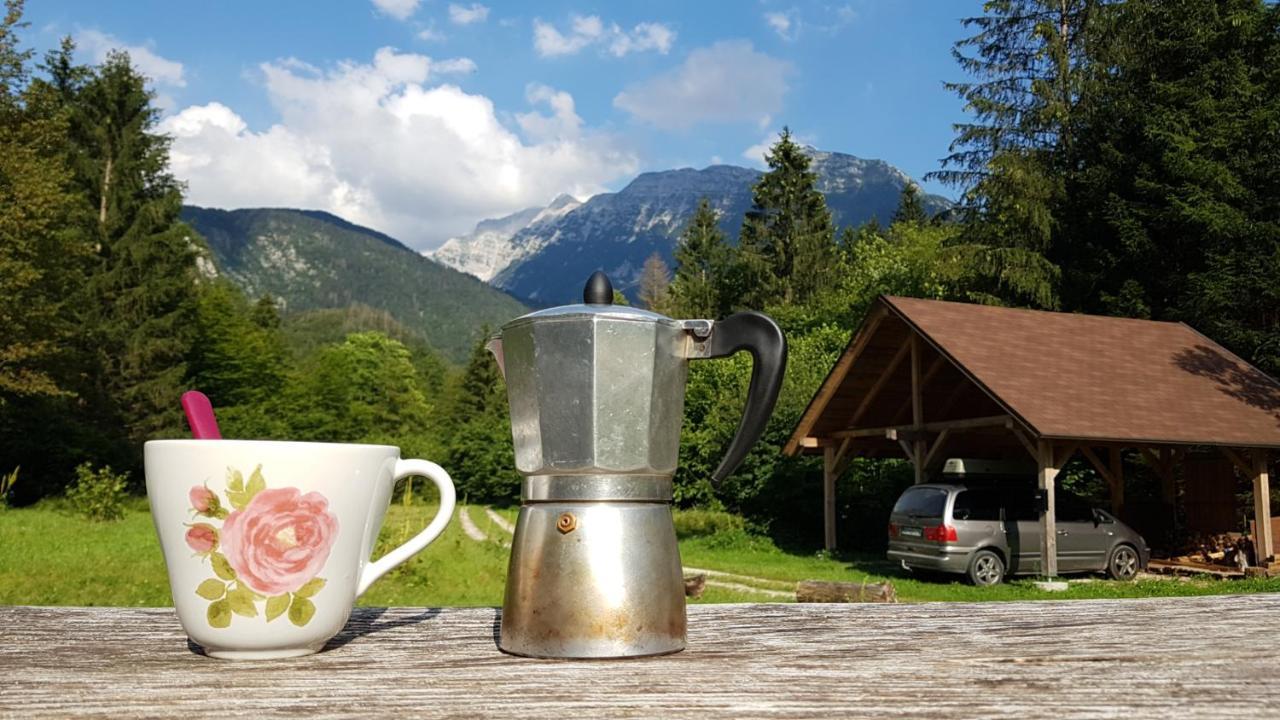 Bovec Home At Three Samoyeds Soča Extérieur photo