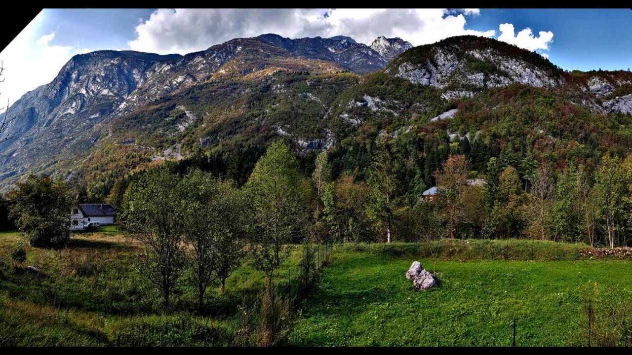 Bovec Home At Three Samoyeds Soča Extérieur photo