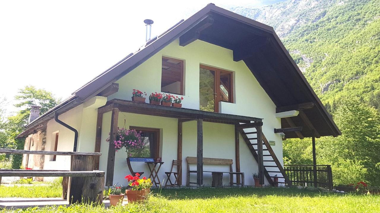 Bovec Home At Three Samoyeds Soča Extérieur photo