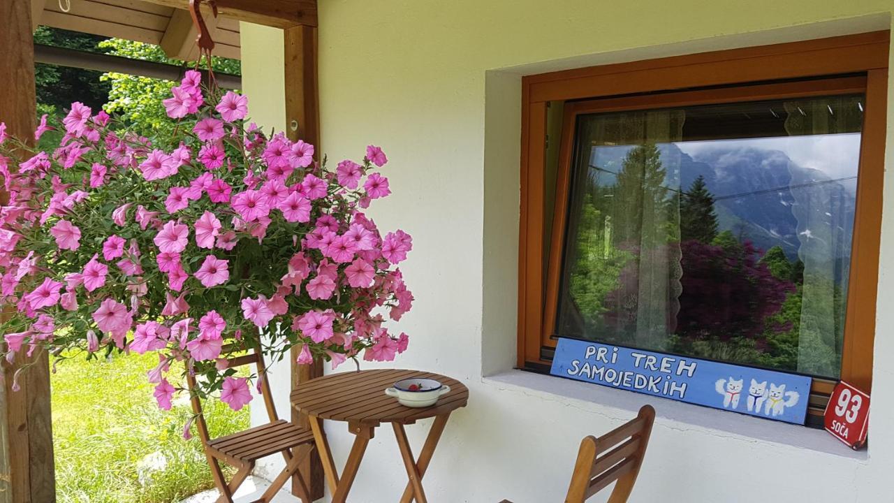 Bovec Home At Three Samoyeds Soča Extérieur photo