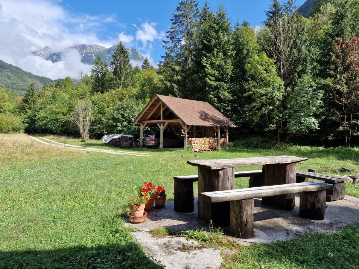 Bovec Home At Three Samoyeds Soča Extérieur photo