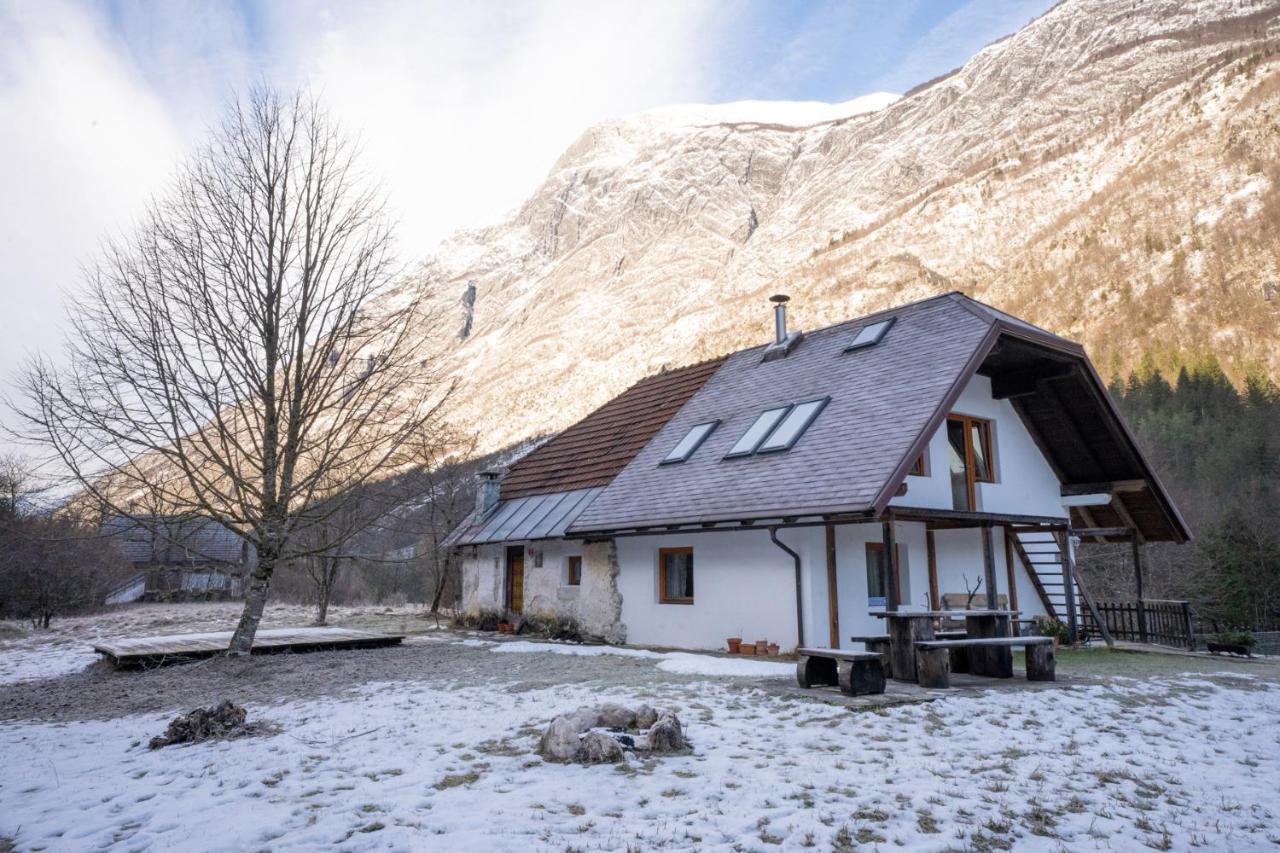 Bovec Home At Three Samoyeds Soča Extérieur photo