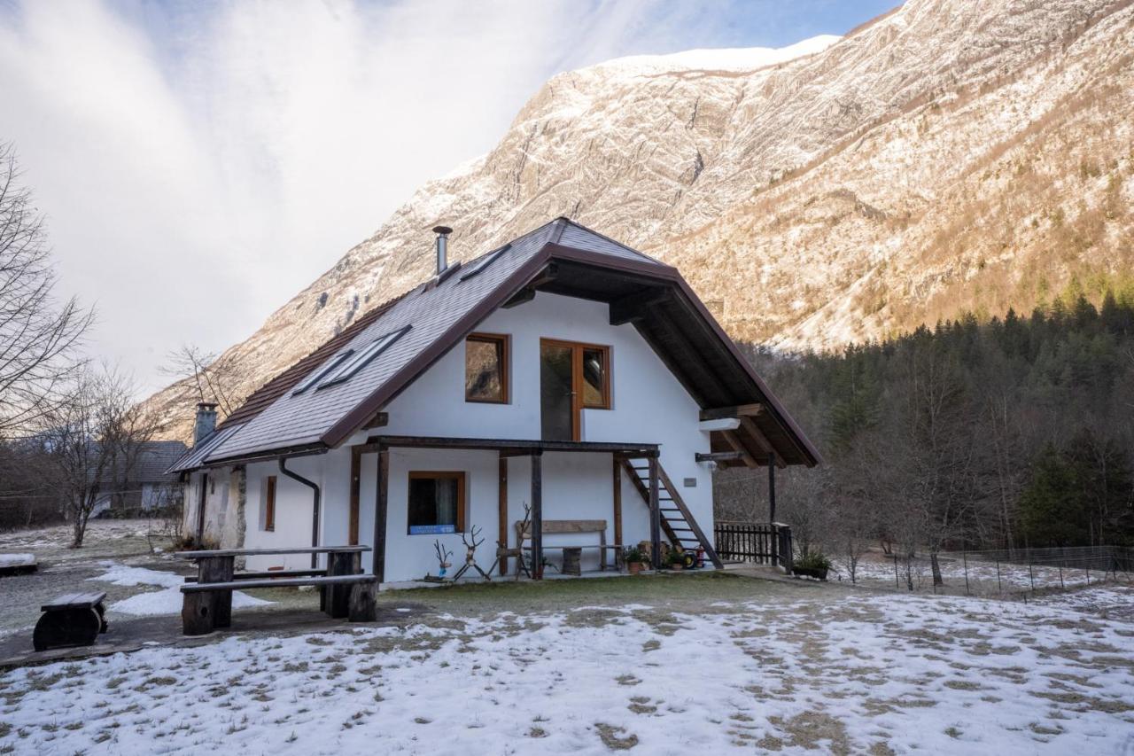 Bovec Home At Three Samoyeds Soča Extérieur photo