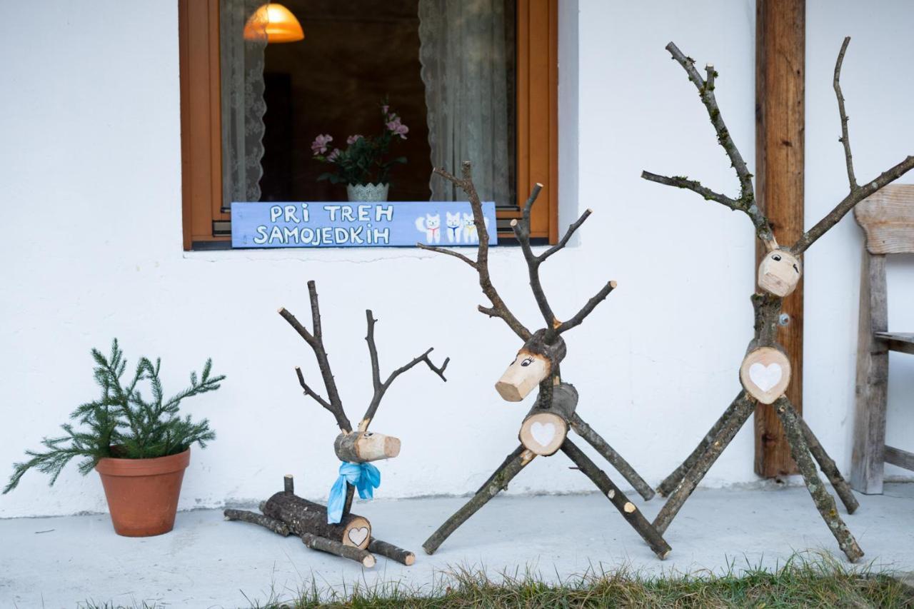 Bovec Home At Three Samoyeds Soča Extérieur photo