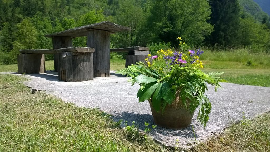 Bovec Home At Three Samoyeds Soča Extérieur photo