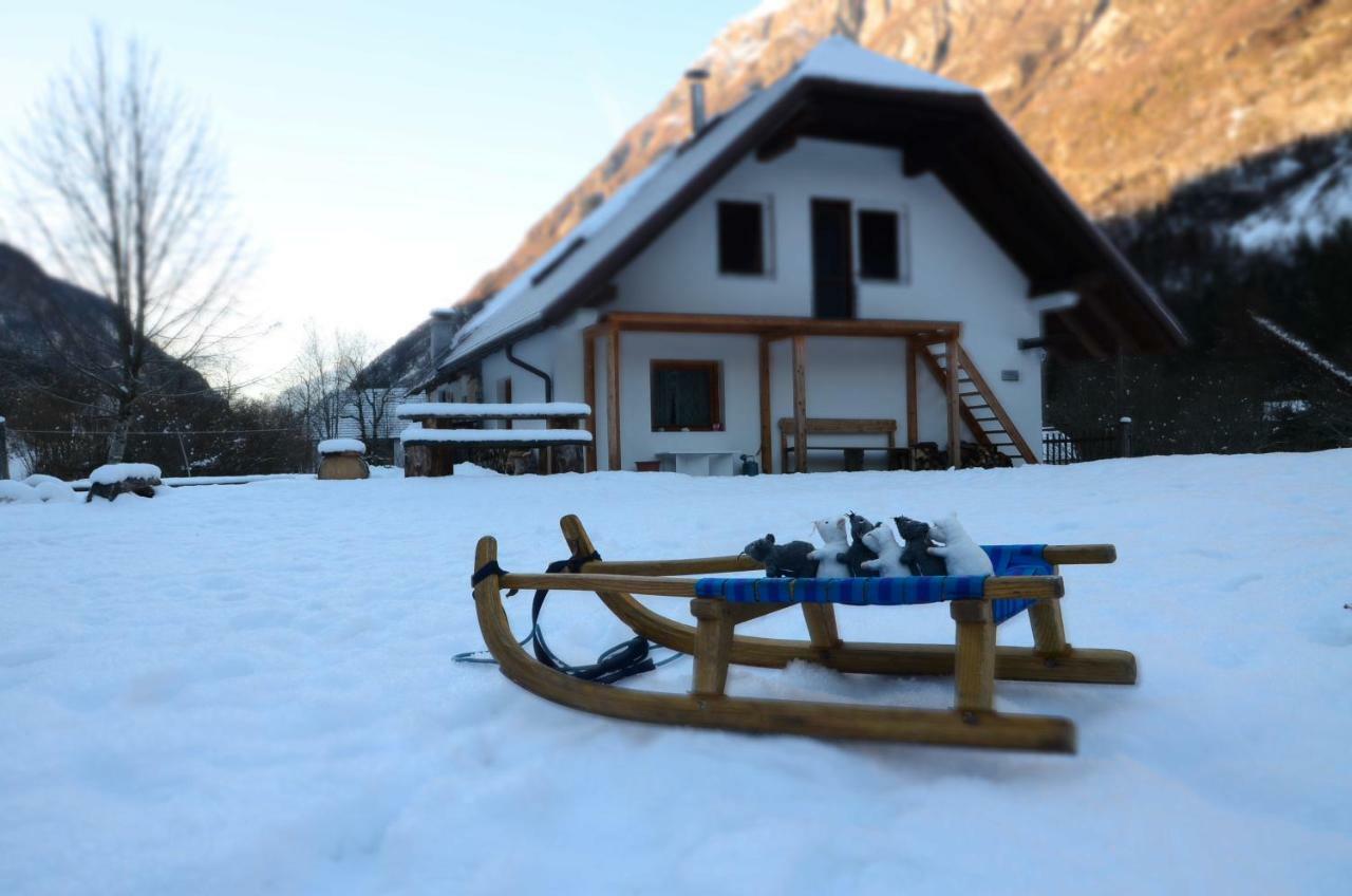 Bovec Home At Three Samoyeds Soča Extérieur photo