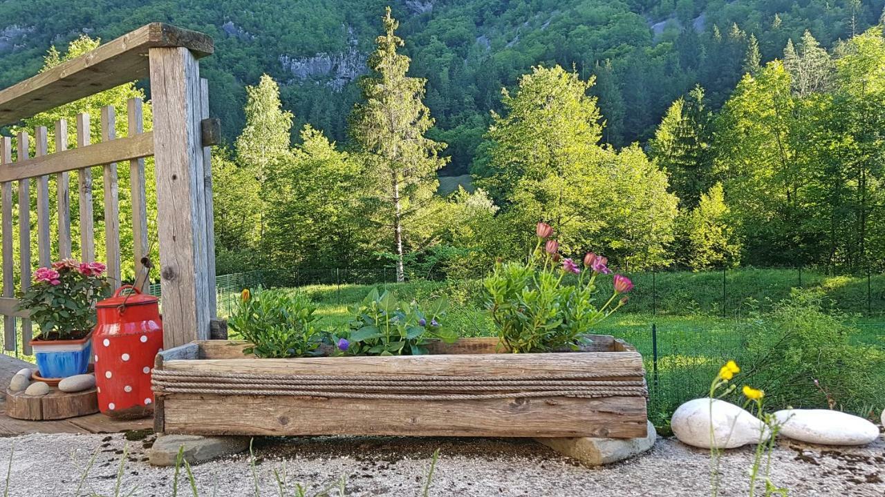 Bovec Home At Three Samoyeds Soča Extérieur photo