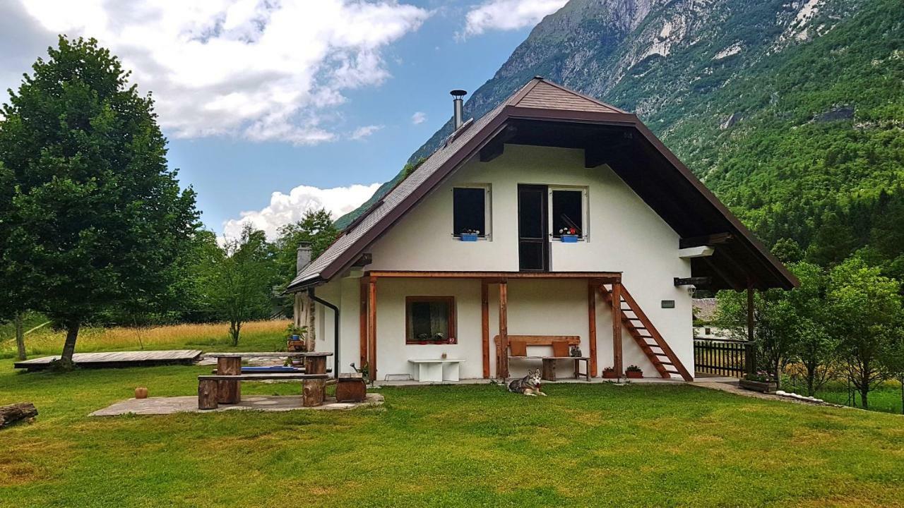 Bovec Home At Three Samoyeds Soča Extérieur photo